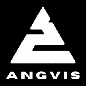 ANGVIS_logo_blk